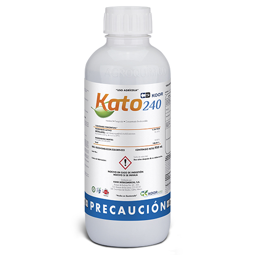 KATO 240