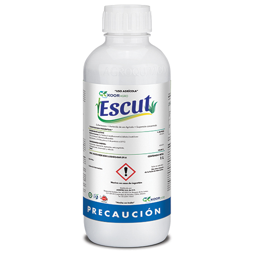 ESCUT
